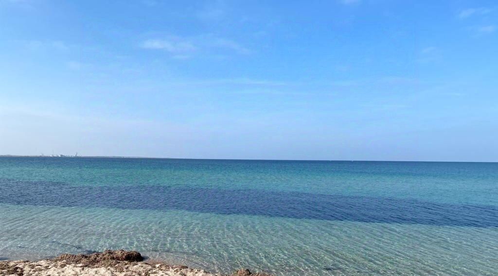 земля р-н Черноморский с Межводное ул Советская 2в Межводненское сельское поселение фото 16