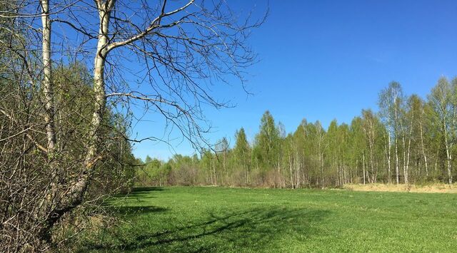 п Керженец с пос, Бор городской округ фото