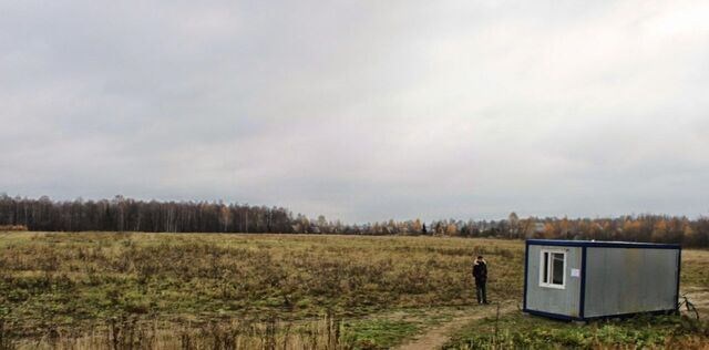 городской округ Сергиево-Посадский Александровка-Яр кп фото