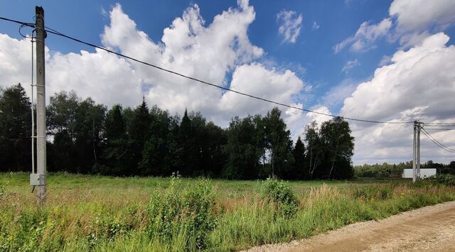 городской округ Дмитровский д Лотосово фото