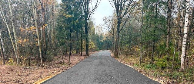 Пушкинский городской округ, Калистово кп фото