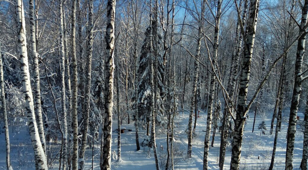 квартира городской округ Одинцовский с Перхушково Одинцово, 217 фото 24