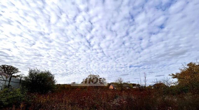 земля ул Васильковая Апшеронское городское поселение фото