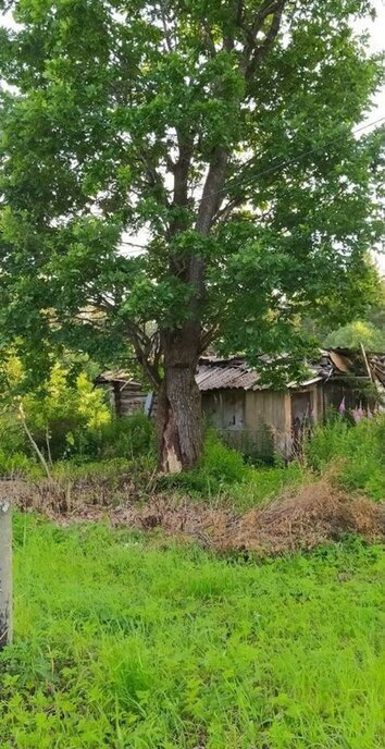 земля р-н Волосовский д Горье Бегуницкое сельское поселение фото 1