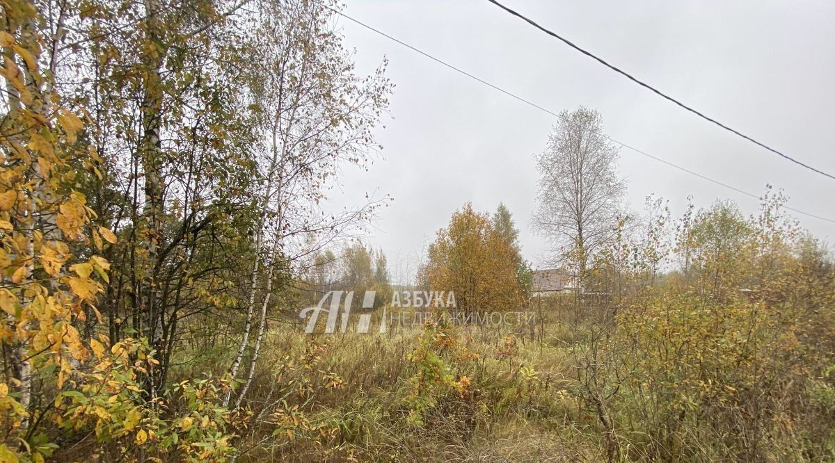 земля городской округ Рузский п Дорохово ул Садовая фото 3