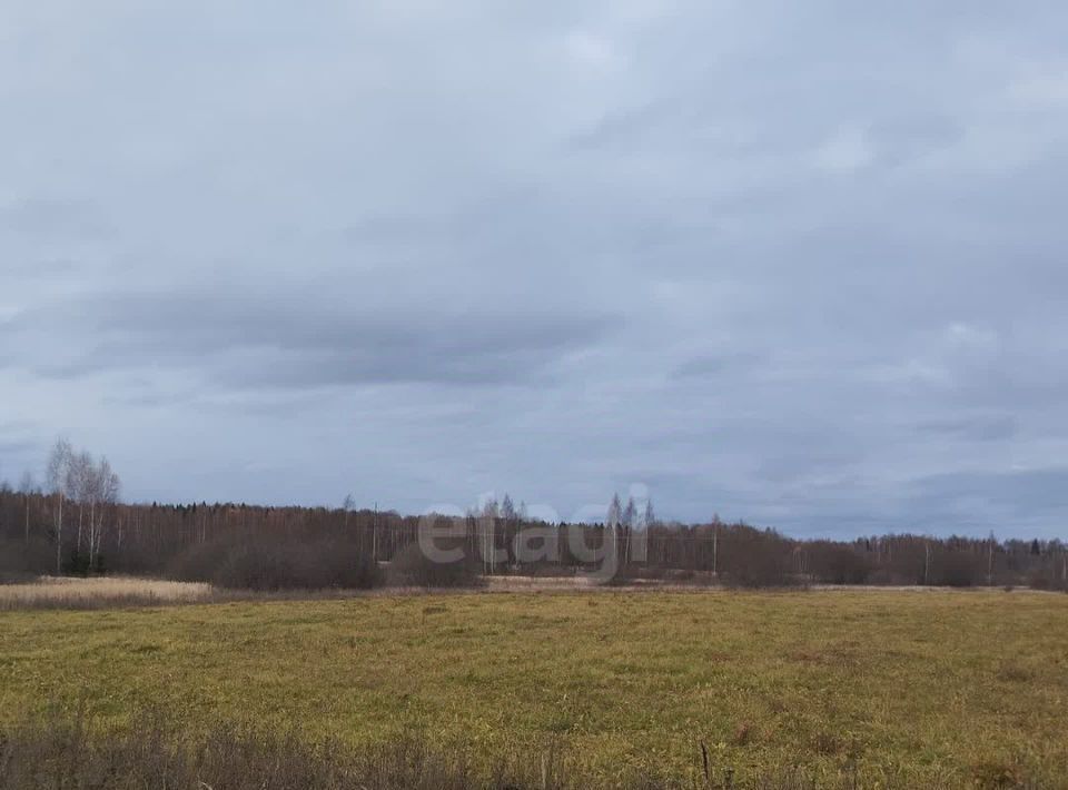 земля р-н Красносельский пгт Красное-на-Волге пл Красная фото 1