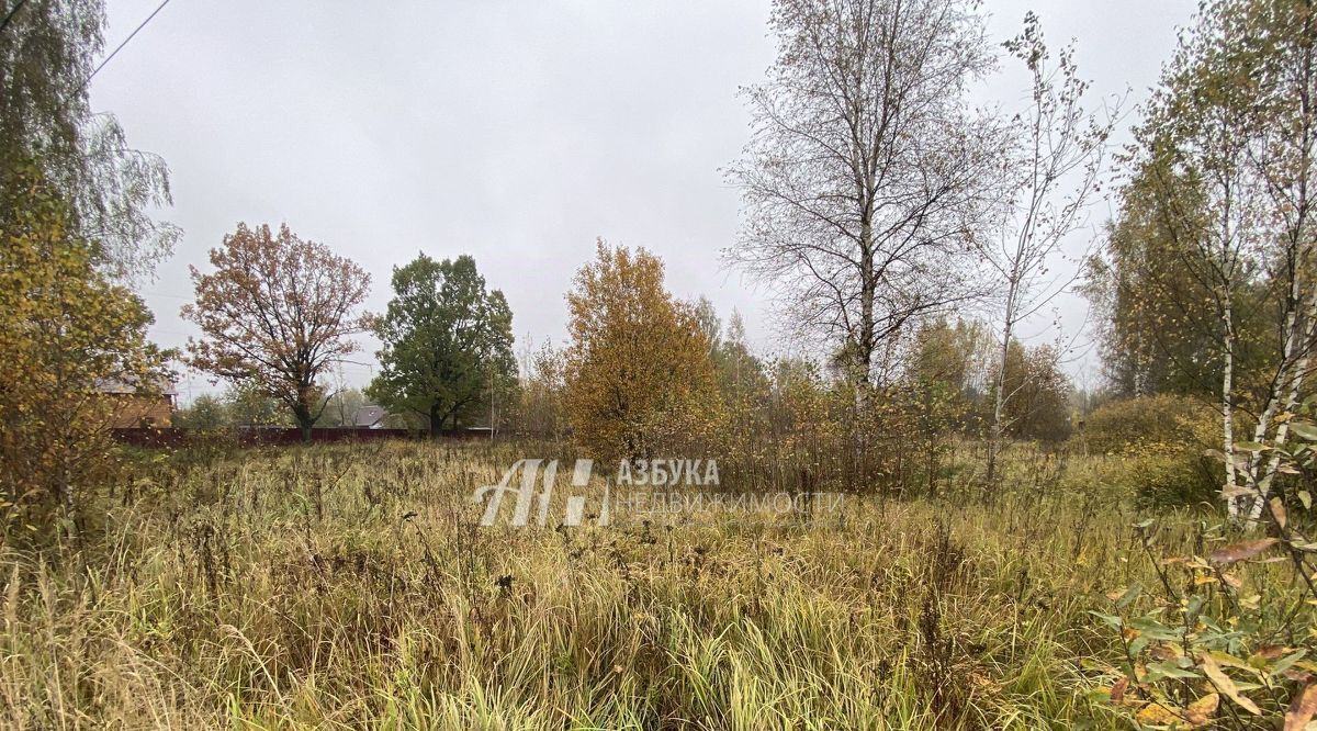 земля городской округ Рузский п Дорохово ул Садовая фото 9