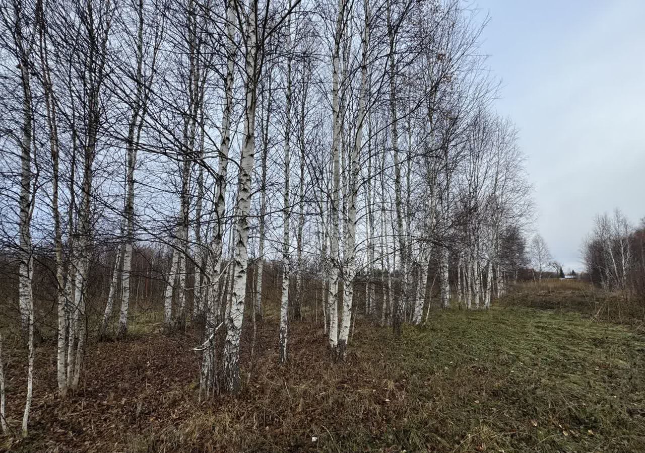 земля р-н Нижнетавдинский ДНТ Сочинское, Тюмень фото 12