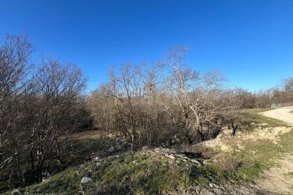 земля г Геленджик с Виноградное Геленджик городской округ, Хозяйственный корпус фото 4