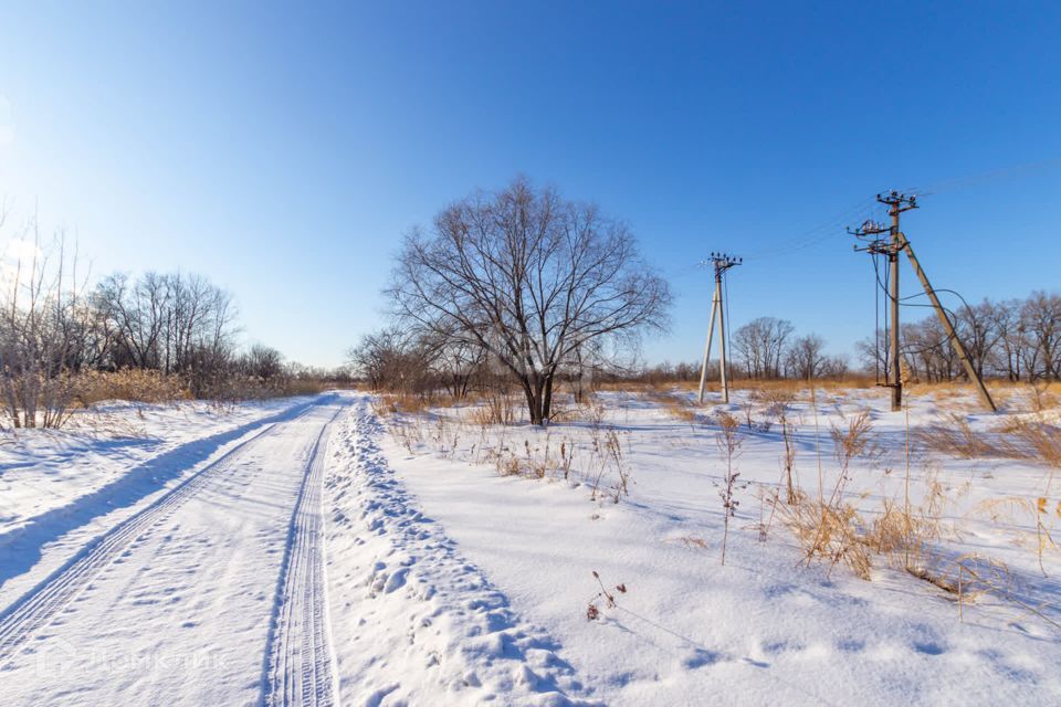 земля г Хабаровск р-н Железнодорожный ш Матвеевское городской округ Хабаровск фото 8