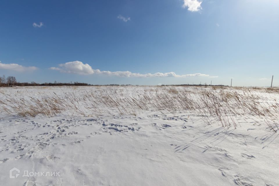 земля р-н Хабаровский с Гаровка-1 ул Зеленая 127 фото 5