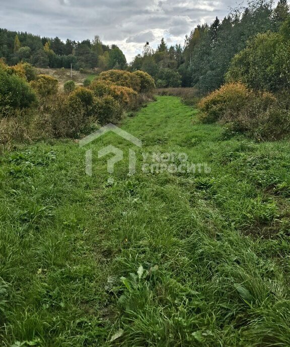 земля г Сортавала с Хелюля Сортавальский муниципальный округ фото 7