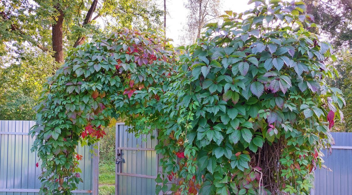 дом городской округ Солнечногорск д Карпово снт Удача фото 4