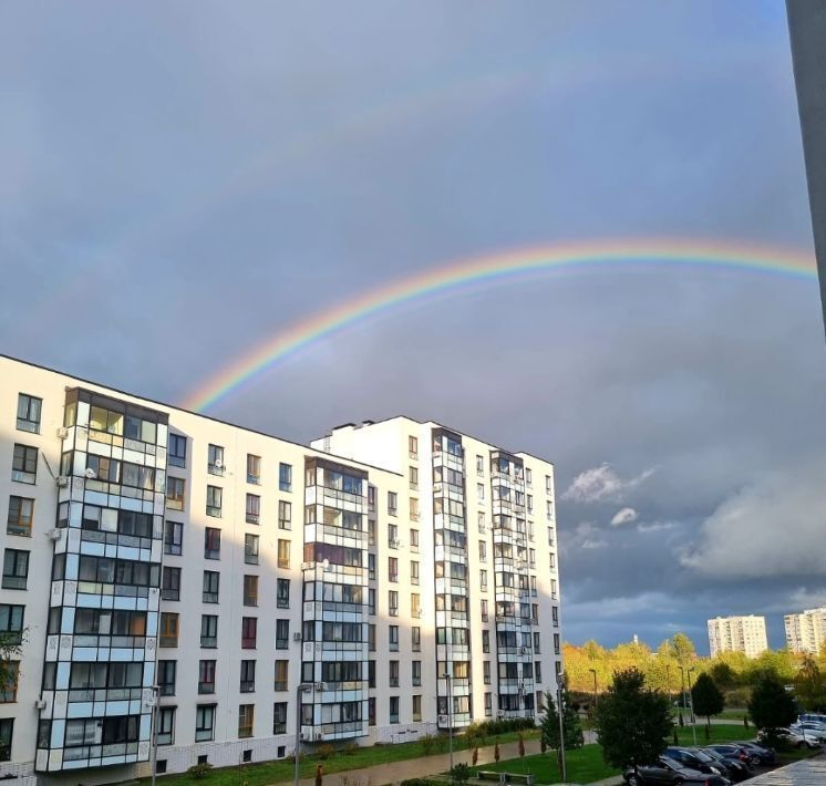 квартира городской округ Ленинский с Молоково б-р Ново-Молоковский 12 Домодедовская фото 14