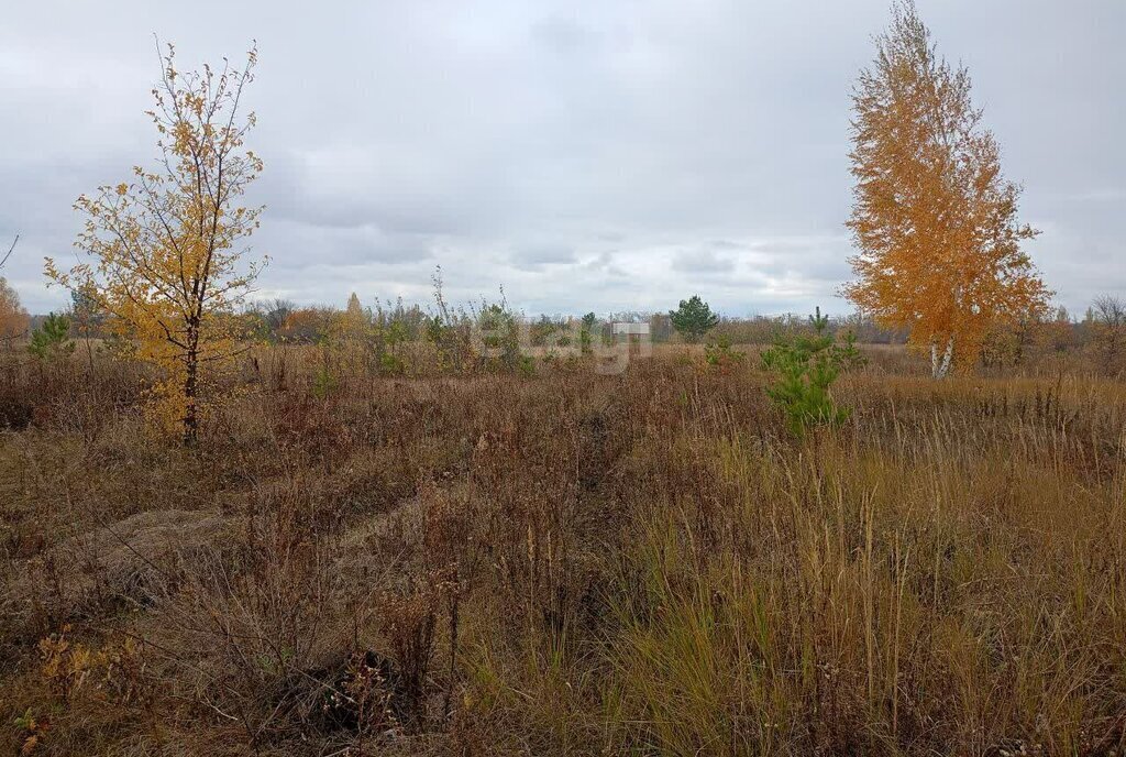 земля р-н Рамонский рп Рамонь ул Центральная Рамонское городское поселение фото 2