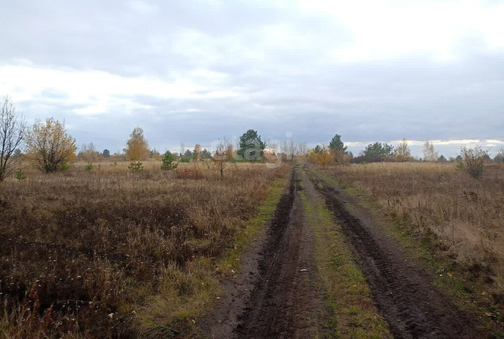 земля р-н Рамонский рп Рамонь ул Центральная Рамонское городское поселение фото 5