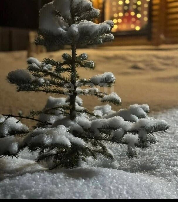 дом р-н Елабужский с Мальцево Поспеловское сельское поселение фото 16