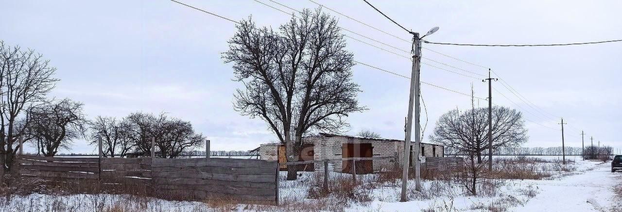 земля р-н Рамонский с Лопатки ул Садовая с пос, Березовское фото 28