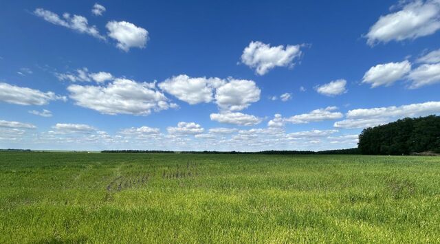 земля ул Бархатная фото