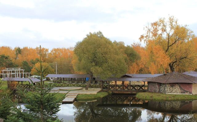 39 км, Деденево, Дмитровское шоссе фото