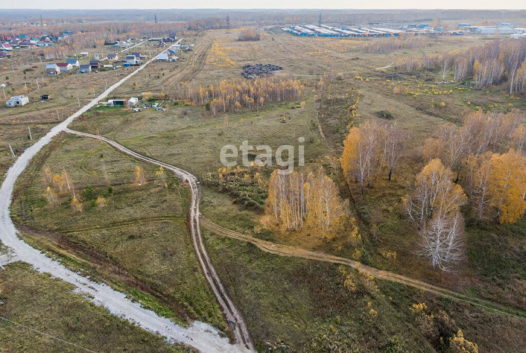 земля р-н Новосибирский тер. ДНТ Чкаловские просторы Каменский сельсовет, Берёзовая Роща фото 7