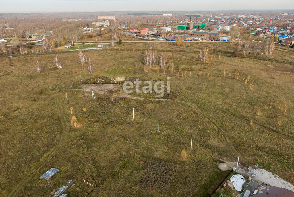 земля р-н Новосибирский тер. ДНТ Чкаловские просторы Каменский сельсовет, Берёзовая Роща фото 9