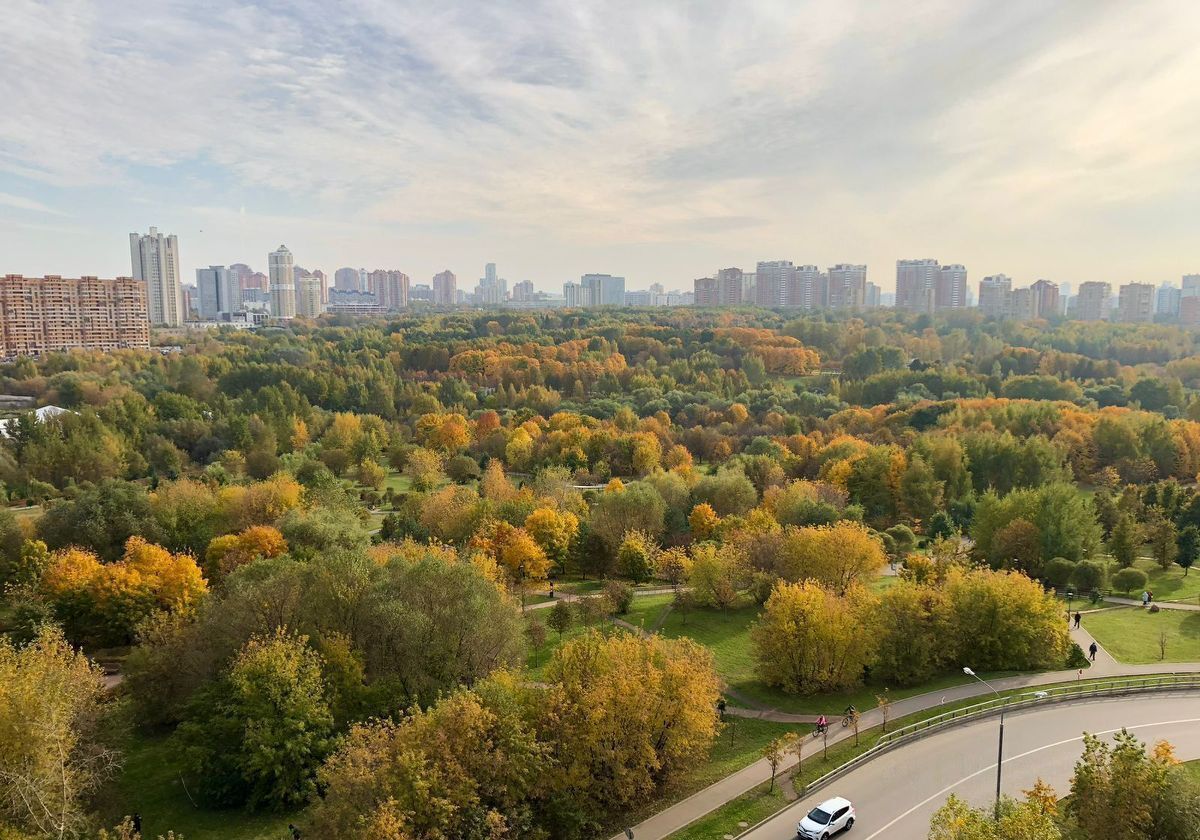 квартира г Москва метро Раменки пр-кт Мичуринский 39 муниципальный округ Раменки фото 24