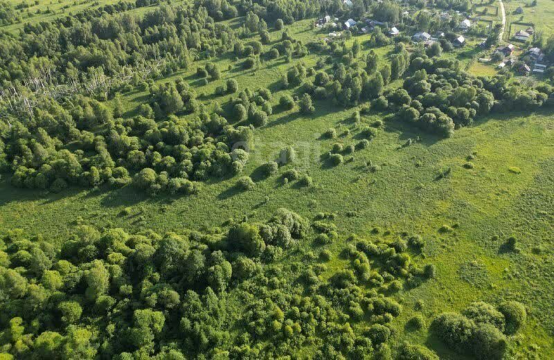 земля р-н Богородский д Касаниха фото 6