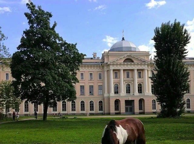 комната г Санкт-Петербург метро Василеостровская 5-я Васильевского острова линия, 8 фото 13