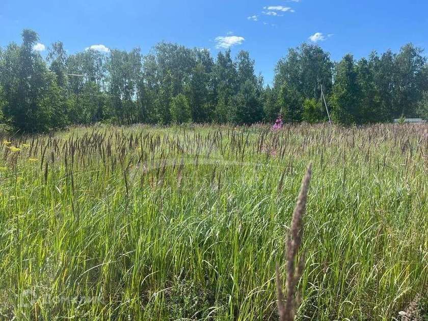 земля р-н Тюменский д Паренкина коттеджный посёлок Новый горизонт фото 4