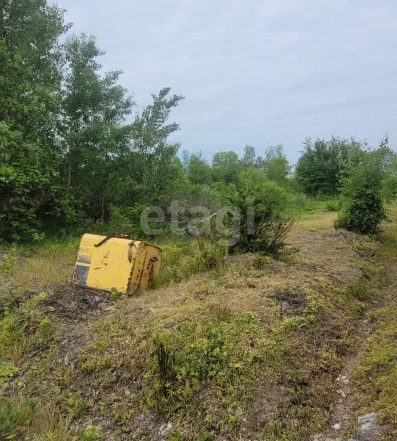 земля г Хабаровск СНТ Раздольное, Хабаровский район фото 7