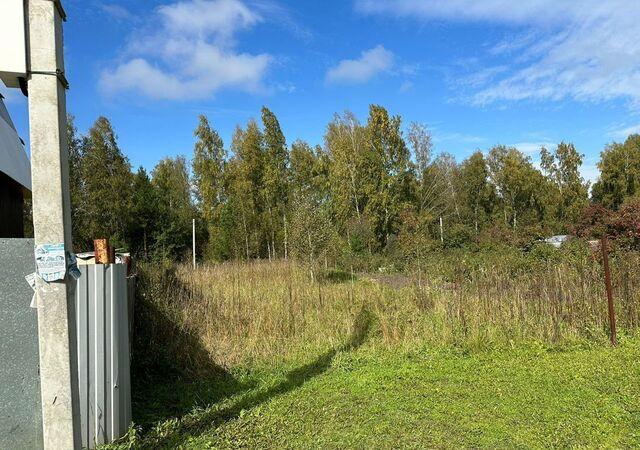 р-н Октябрьский НСТ Ветеран, квартал 1 АБ, 131 фото