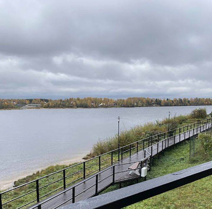 квартира р-н Всеволожский п Дубровка Дубровское городское поселение фото 11