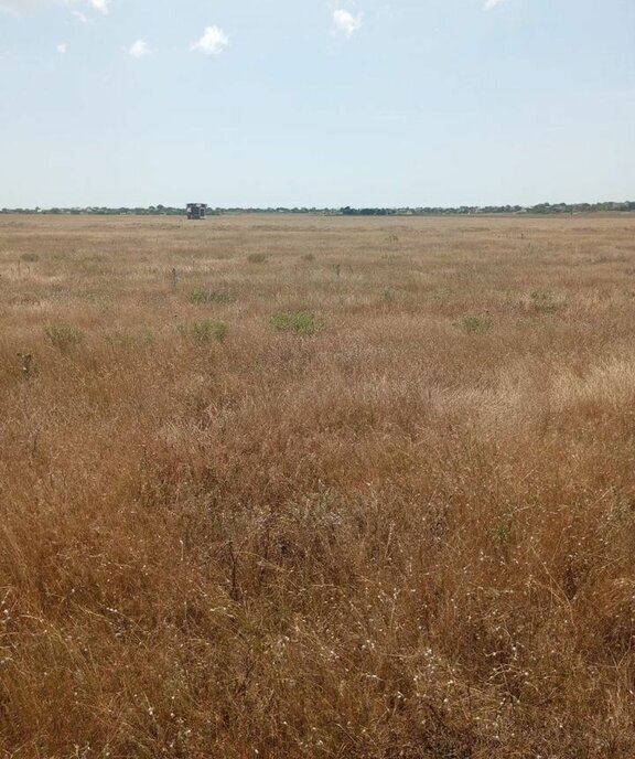 земля р-н Сакский с Каменоломня ул Изобильная фото 1