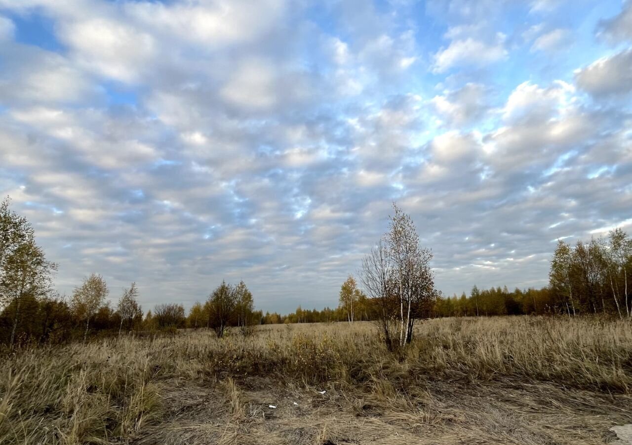 земля городской округ Серпухов д Большое Грызлово 86 км, 12, Пущино, Симферопольское шоссе фото 12