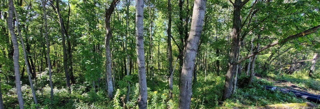 земля р-н Хабаровский с Краснореченское ул Елисейская фото 16