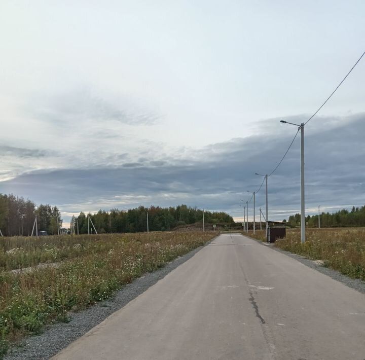 земля р-н Кстовский д Шерменево Бор городской округ фото 4