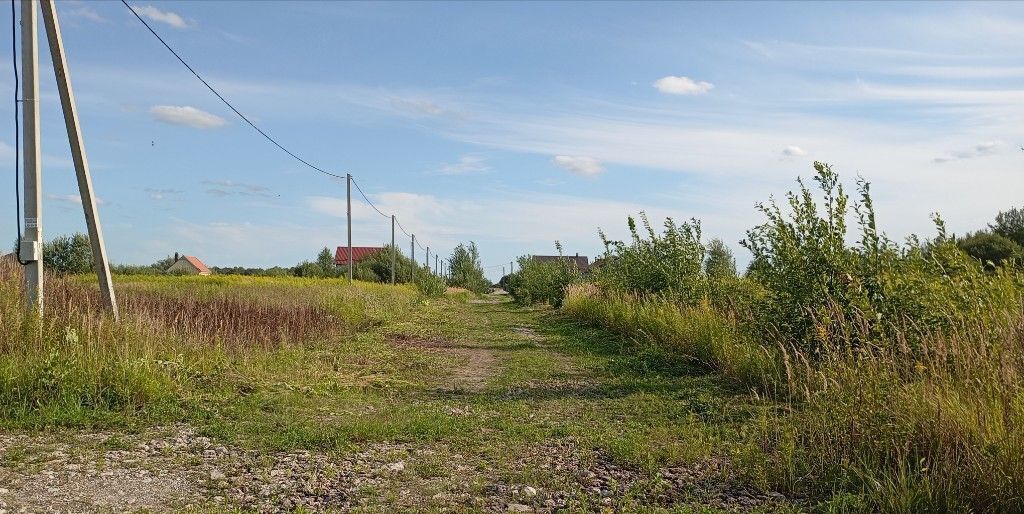 земля р-н Гурьевский п Кошевое Калининград фото 4