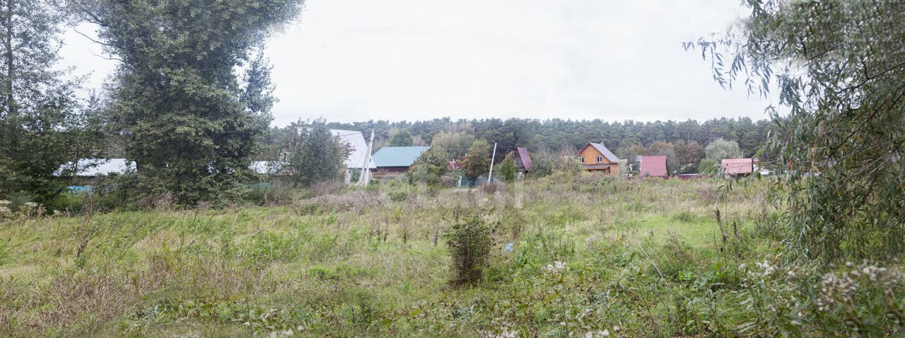 земля р-н Новосибирский дп Кудряшовский сельсовет, Новосибирск фото 2