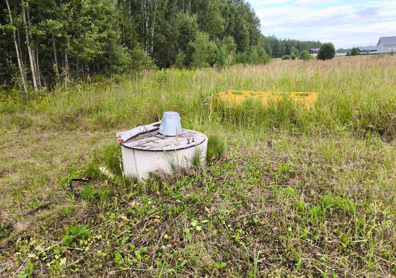 земля городской округ Ступино д Старое тер ТСН Лесной Край-2 76 км, Ступино, Каширское шоссе фото 17