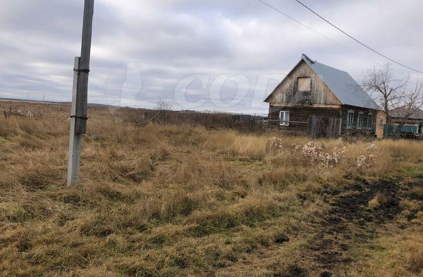 земля р-н Исетский с Шорохово Шороховское сельское поселение фото 2