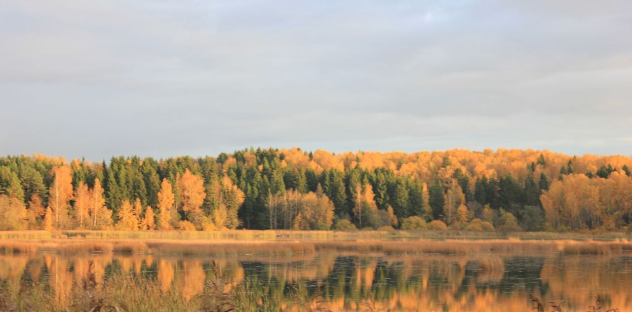 земля городской округ Дмитровский д Афанасово фото 5