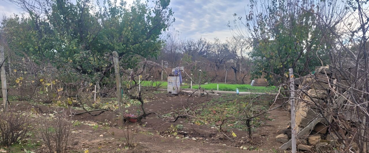 дом г Алушта п Чайка Чернышевское с/пос, СТСН, ул. Сливовая, Раздольненский район фото 10