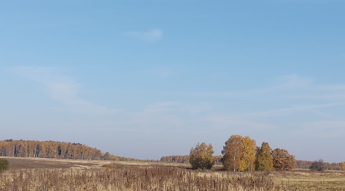 земля городской округ Коломенский д Захаркино Коломна городской округ фото 14