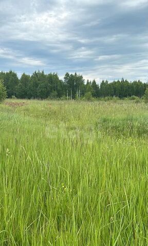 земля городское поселение Нерехта фото