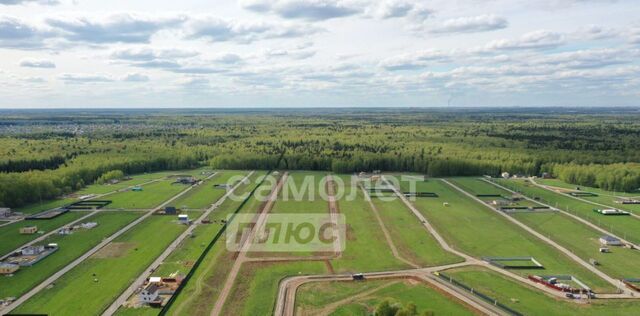 Растуновский административный округ, пос. Новое Растуново, Домодедовская фото