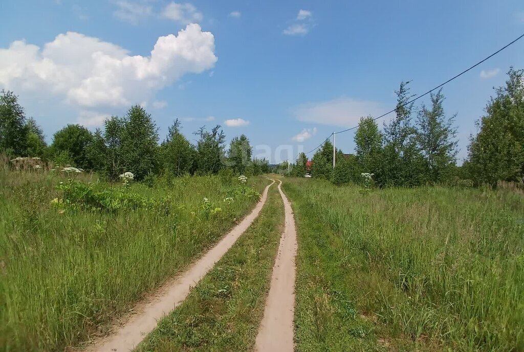 земля р-н Оршанский д Марково Марковское сельское поселение фото 2