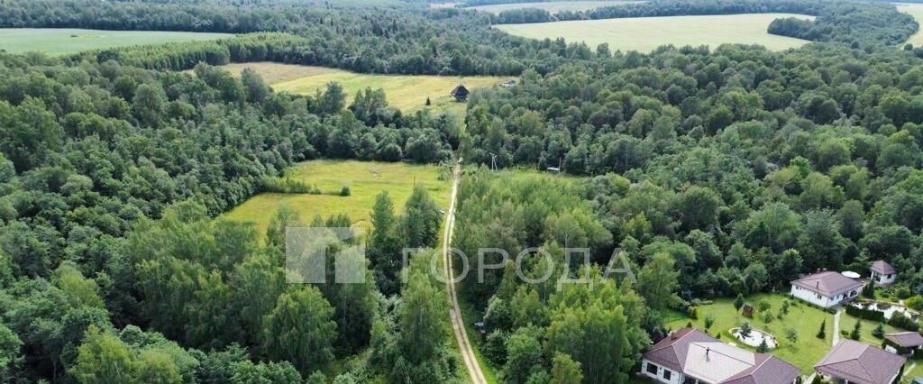 офис городской округ Дмитровский д Ревякино 42 фото 3