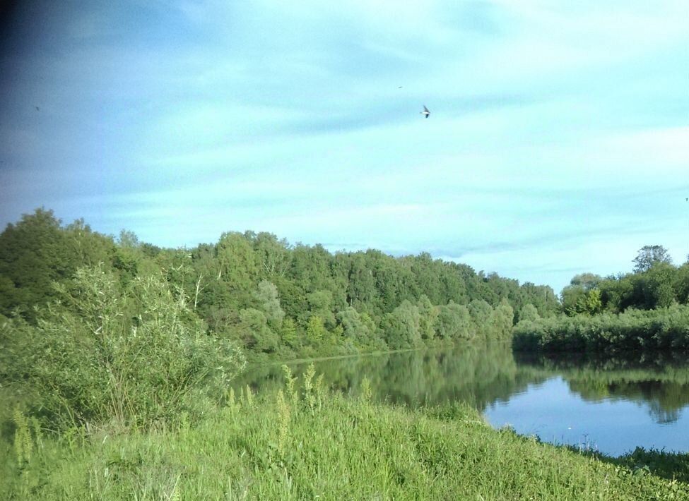 дом р-н Гагаринский д Дубинино Кармановское сельское поселение фото 2