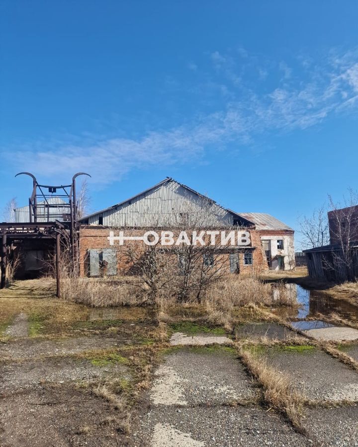 производственные, складские р-н Каргатский г Каргат ул Советская 4 городское поселение Каргат фото 1